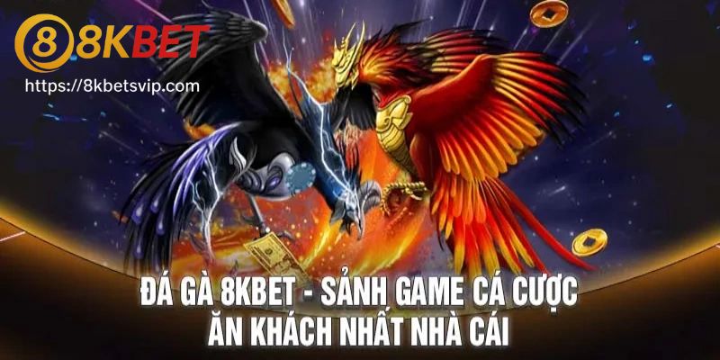 Cá cược chọi gà 8kbet kịch tính