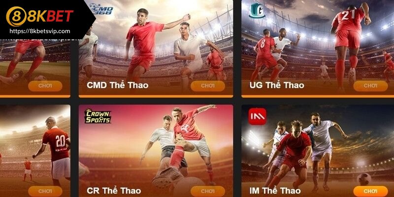 Kinh nghiệm bắt kèo thể thao