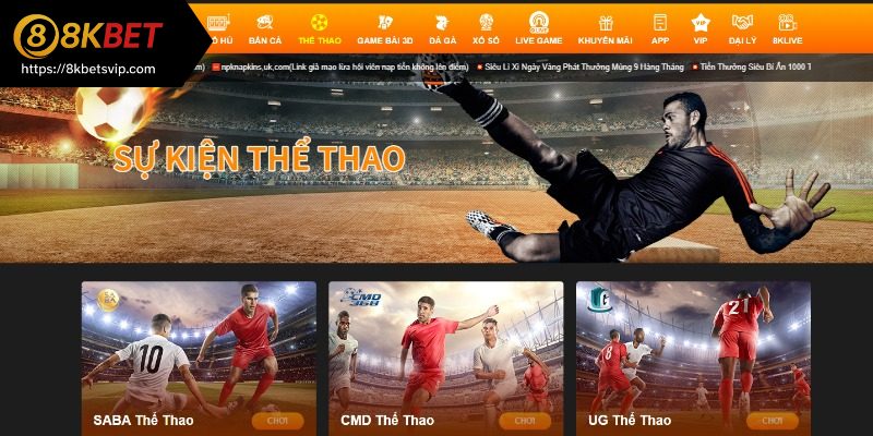 Tổng quan về cá độ thể thao